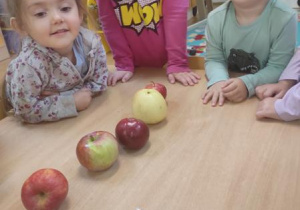 Dzieci oglądają przekrojone jabłka.